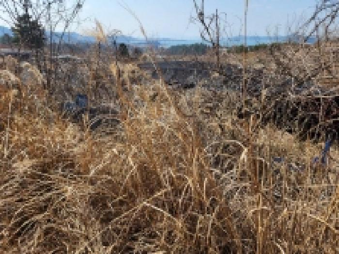 전라남도 고흥군 금산면 석정리 1748 임야 경매 사진 14
