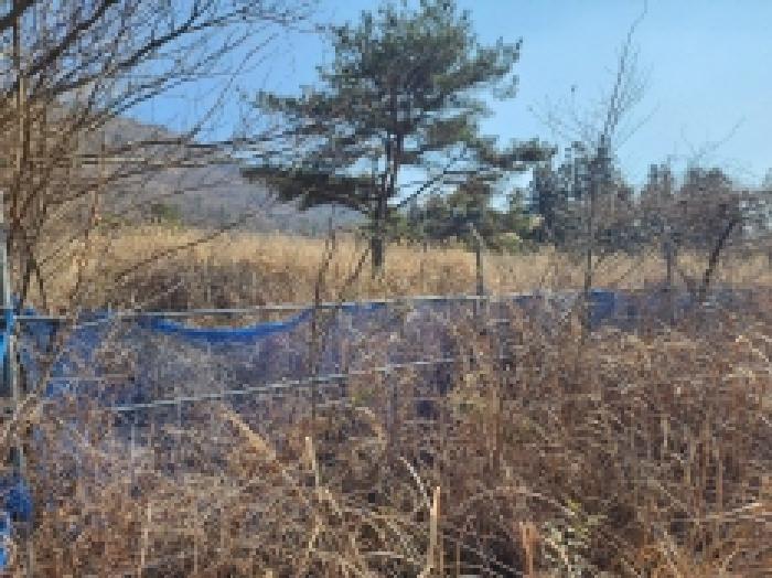 전라남도 고흥군 금산면 석정리 1748 임야 경매 사진 16