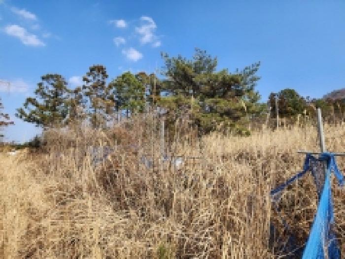 전라남도 고흥군 금산면 석정리 1748 임야 경매 사진 19