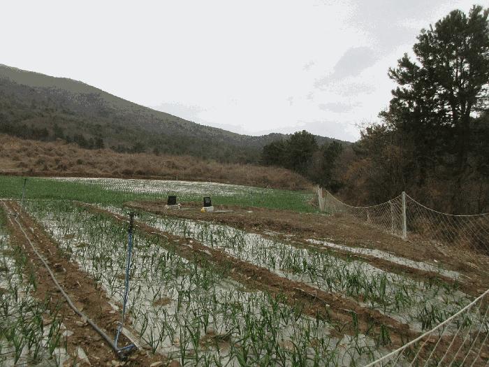 전라남도 고흥군 금산면 석정리 1748 임야 경매 사진 2