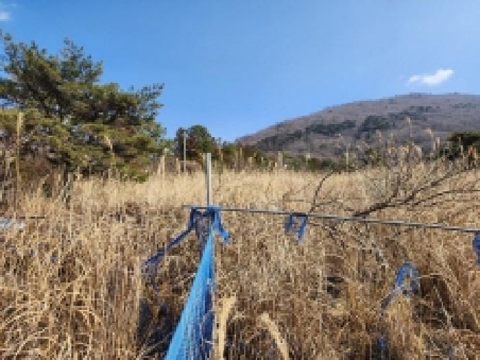 전라남도 고흥군 금산면 석정리 1748 임야 경매 사진 20