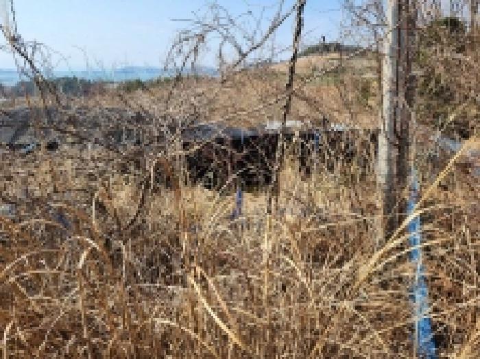 전라남도 고흥군 금산면 석정리 1748 임야 경매 사진 22