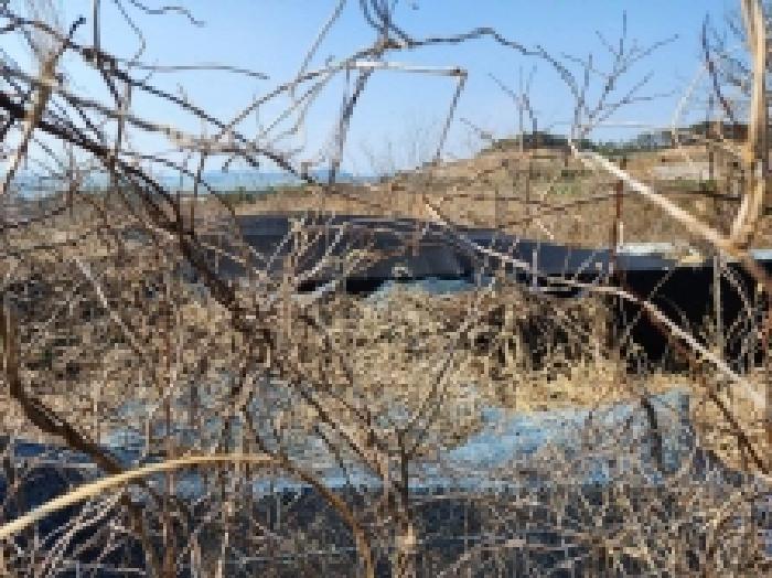 전라남도 고흥군 금산면 석정리 1748 임야 경매 사진 25