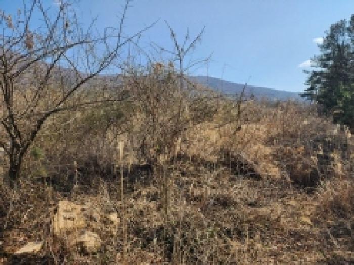 전라남도 고흥군 금산면 석정리 1748 임야 경매 사진 28