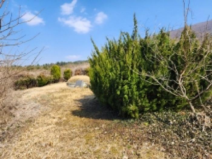 전라남도 고흥군 금산면 석정리 1748 임야 경매 사진 29
