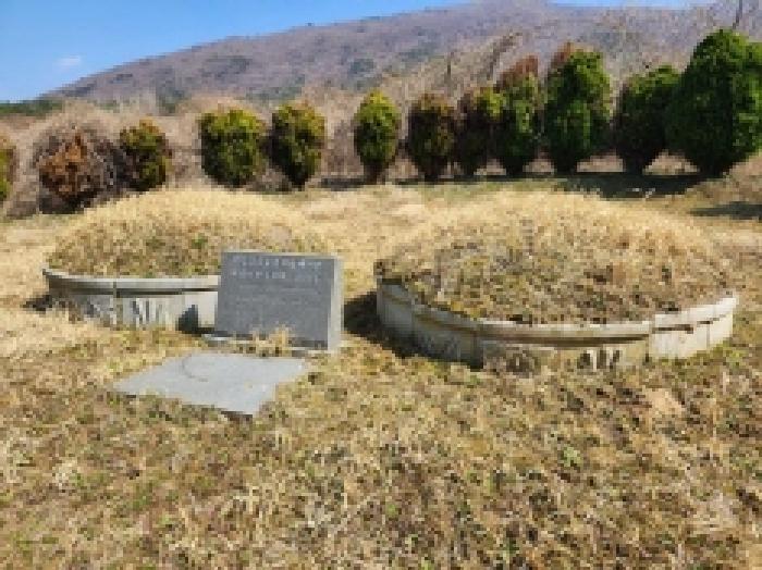 전라남도 고흥군 금산면 석정리 1748 임야 경매 사진 30