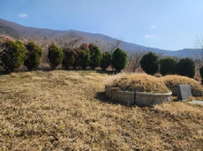 전라남도 고흥군 금산면 석정리 1748 임야 경매 사진 32