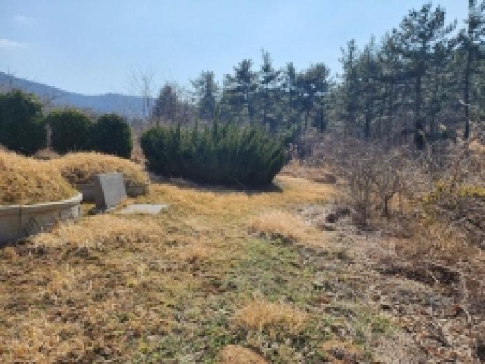 전라남도 고흥군 금산면 석정리 1748 임야 경매 사진 33