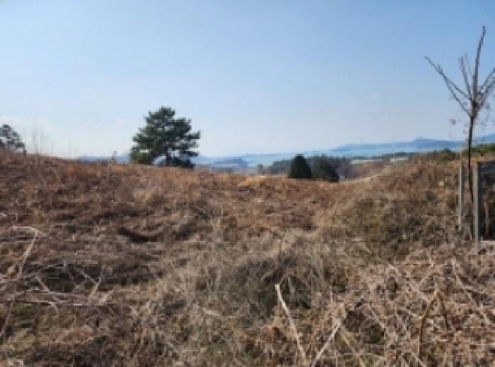 전라남도 고흥군 금산면 석정리 1748 임야 경매 사진 35