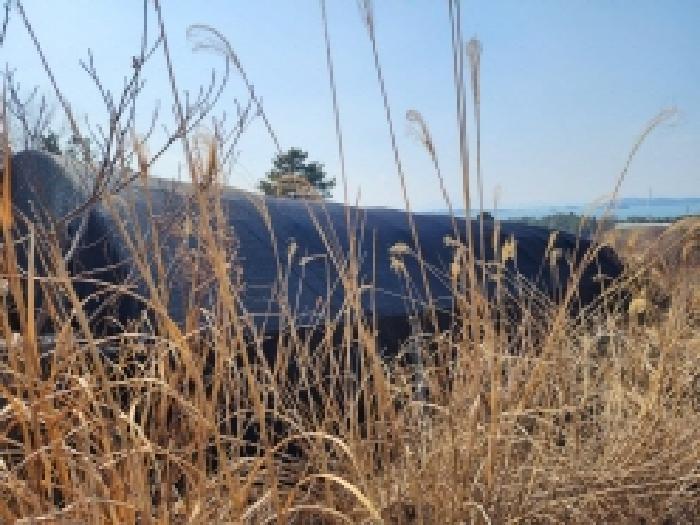전라남도 고흥군 금산면 석정리 1748 임야 경매 사진 37