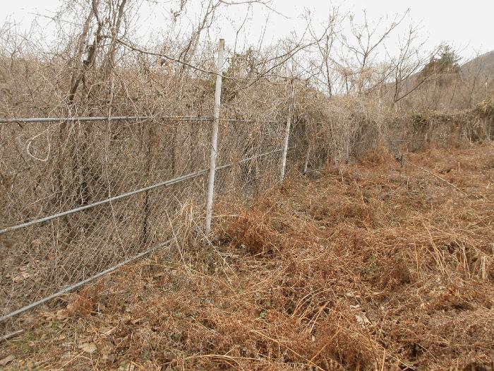 전라남도 고흥군 금산면 석정리 1748 임야 경매 사진 4