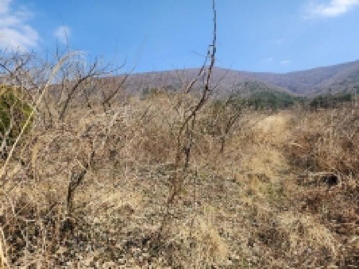 전라남도 고흥군 금산면 석정리 1748 임야 경매 사진 41