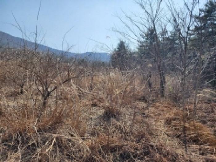 전라남도 고흥군 금산면 석정리 1748 임야 경매 사진 44