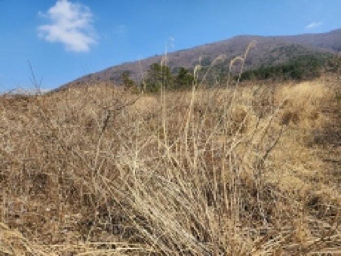 전라남도 고흥군 금산면 석정리 1748 임야 경매 사진 45