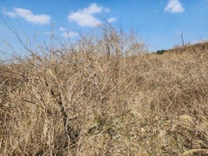 전라남도 고흥군 금산면 석정리 1748 임야 경매 사진 46