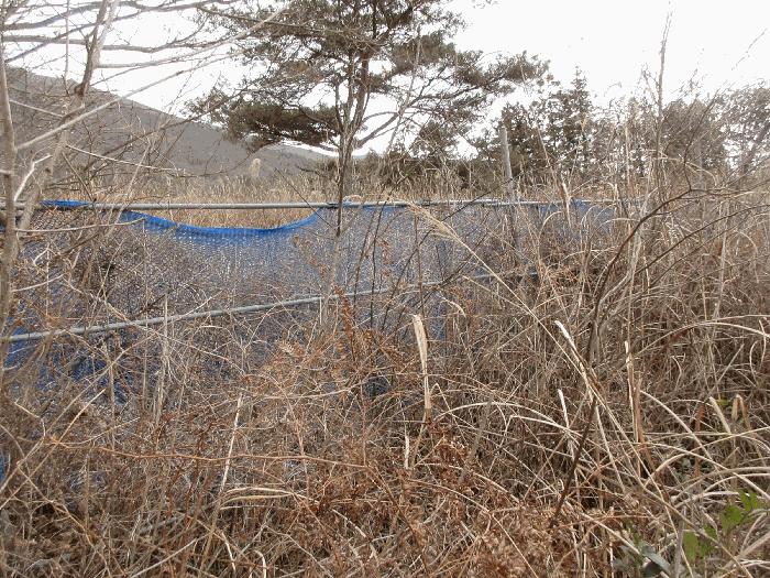 전라남도 고흥군 금산면 석정리 1748 임야 경매 사진 8