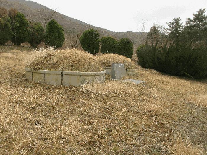 전라남도 고흥군 금산면 석정리 1748 임야 경매 사진 9