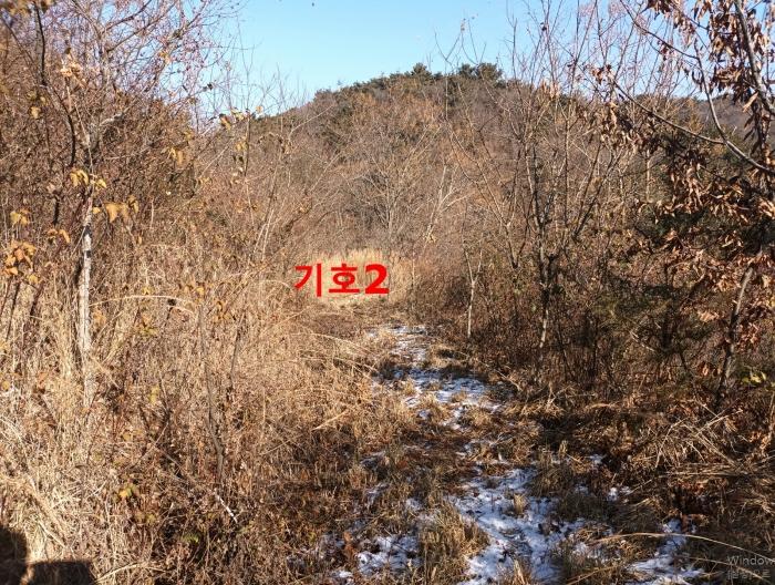 전북특별자치도 익산시 웅포면 고창리 68-7 임야 경매 사진 3