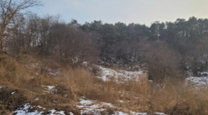 전북특별자치도 익산시 웅포면 고창리 68-7 임야 경매 사진 9
