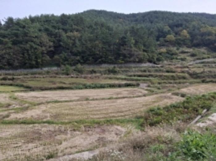 경상남도 남해군 삼동면 지족리 619 답 경매 사진 10