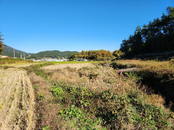 경상남도 남해군 삼동면 지족리 619 답 경매 사진 2