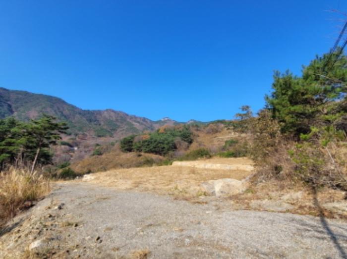경상남도 산청군 신안면 외송리 산15-6 임야 경매 사진 3