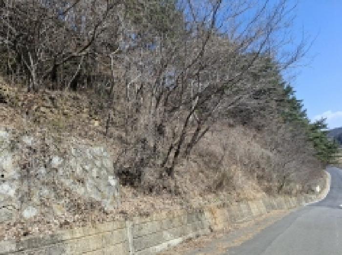 경상남도 남해군 서면 정포리 535-1 임야 경매 사진 10