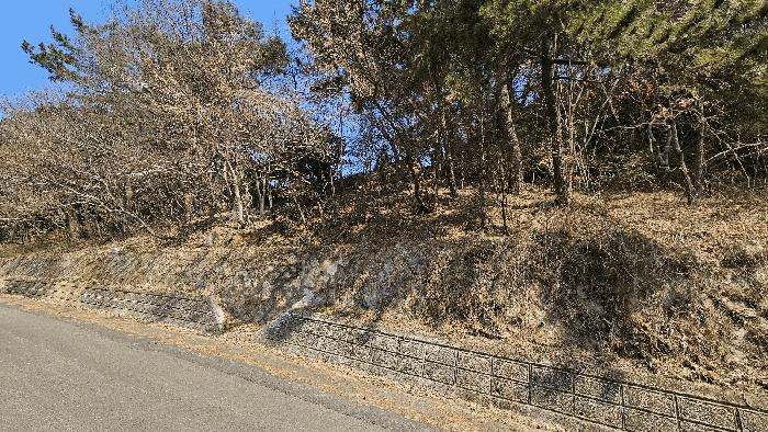 경상남도 남해군 서면 정포리 535-1 임야 경매 사진 3