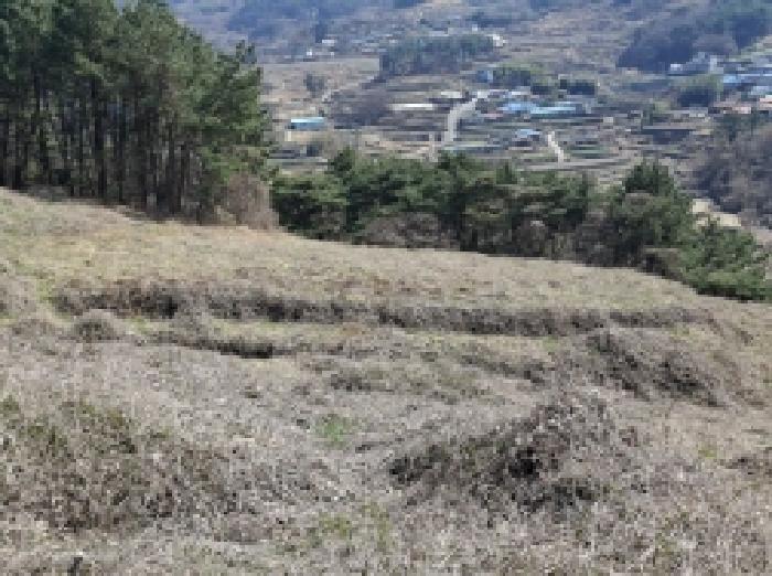 경상남도 남해군 서면 정포리 535-1 임야 경매 사진 6