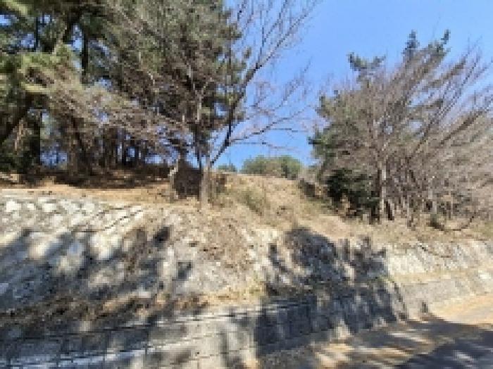 경상남도 남해군 서면 정포리 535-1 임야 경매 사진 8