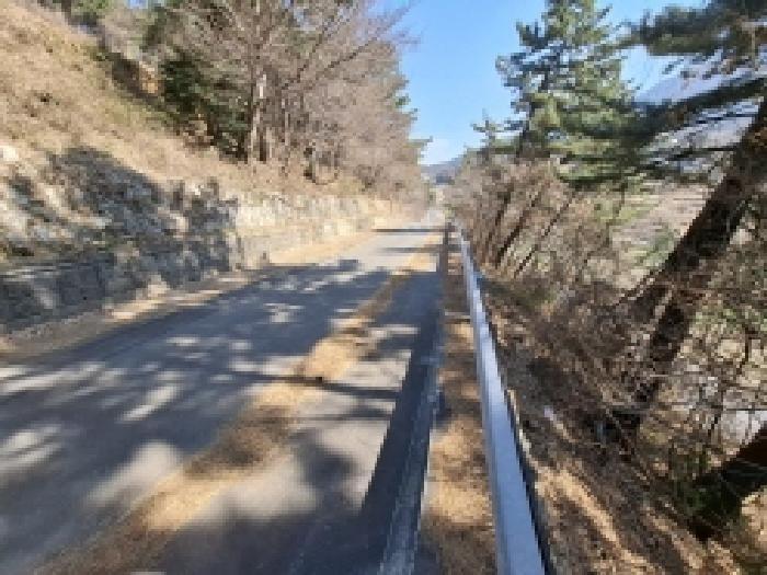 경상남도 남해군 서면 정포리 535-1 임야 경매 사진 9