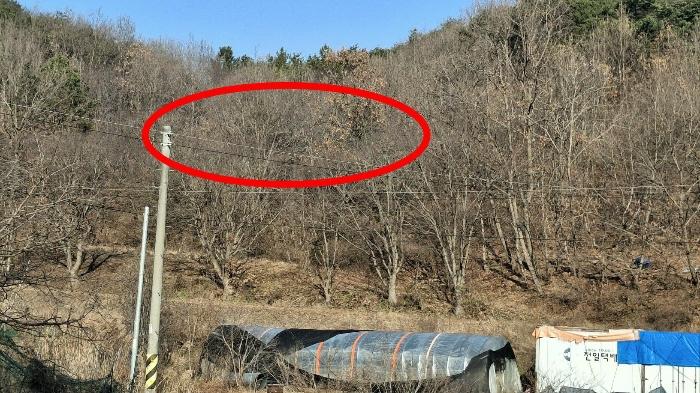 충청남도 당진시 전