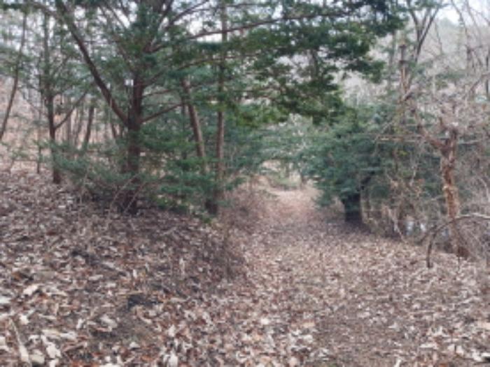충청남도 당진시 고대면 항곡리 산39-1 전 경매 사진 11