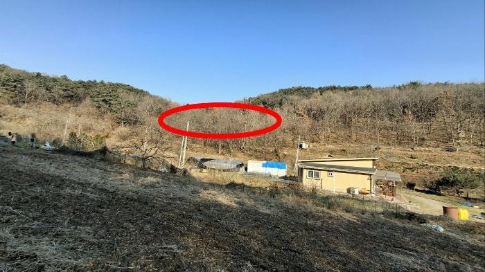 충청남도 당진시 고대면 항곡리 산39-1 전 경매 사진 2