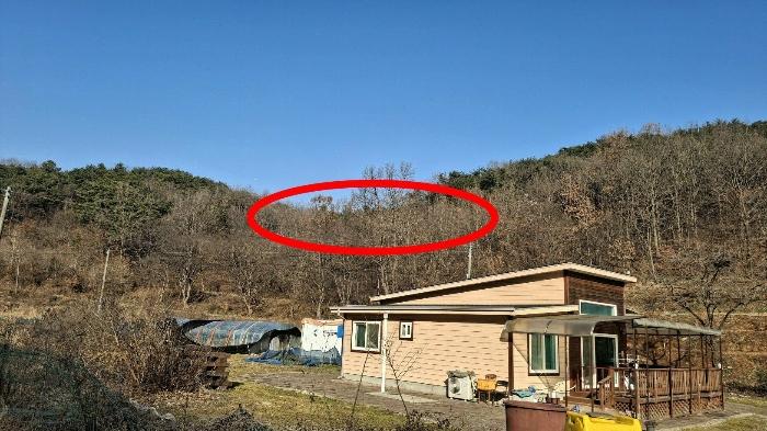 충청남도 당진시 고대면 항곡리 산39-1 전 경매 사진 3