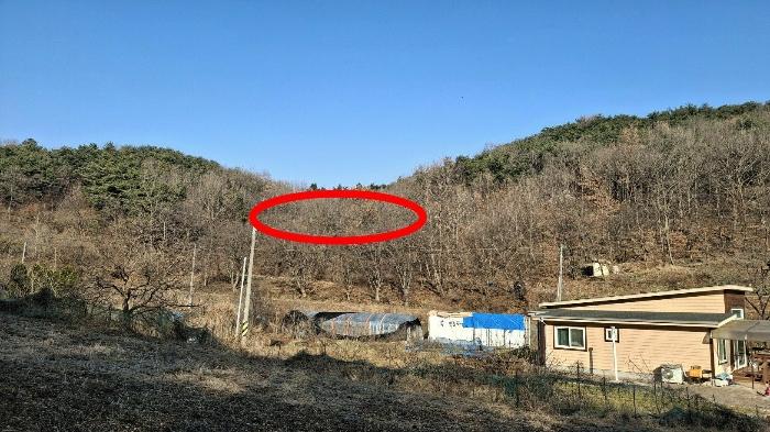 충청남도 당진시 고대면 항곡리 산39-1 전 경매 사진 5