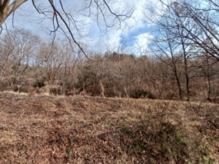 충청남도 당진시 고대면 항곡리 산39-1 전 경매 사진 7