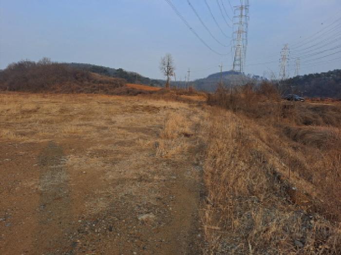 충청남도 당진시 송악읍 고대리 146-2 답 경매 사진 1