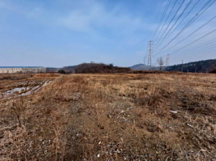 충청남도 당진시 송악읍 고대리 146-2 답 경매 사진 11