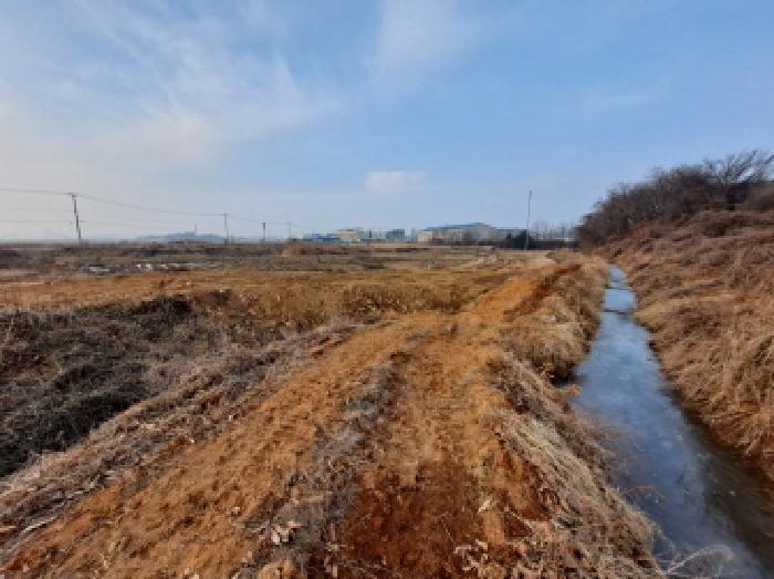 충청남도 당진시 송악읍 고대리 146-2 답 경매 사진 8