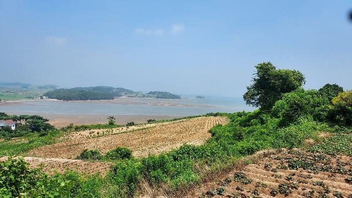 충청남도 태안군 고남면 누동리 914 임야 경매 사진 1