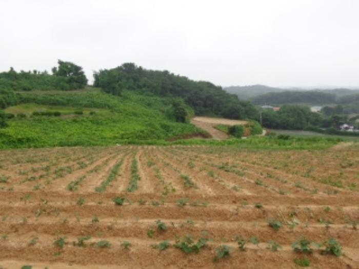 충청남도 태안군 고남면 누동리 914 임야 경매 사진 10