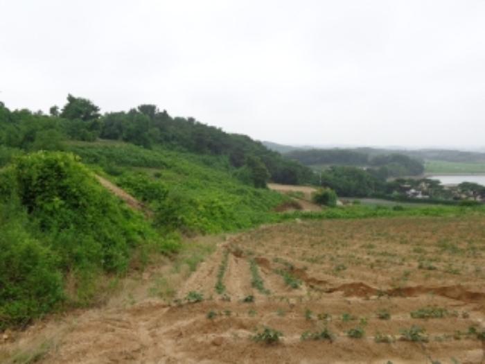 충청남도 태안군 고남면 누동리 914 임야 경매 사진 11