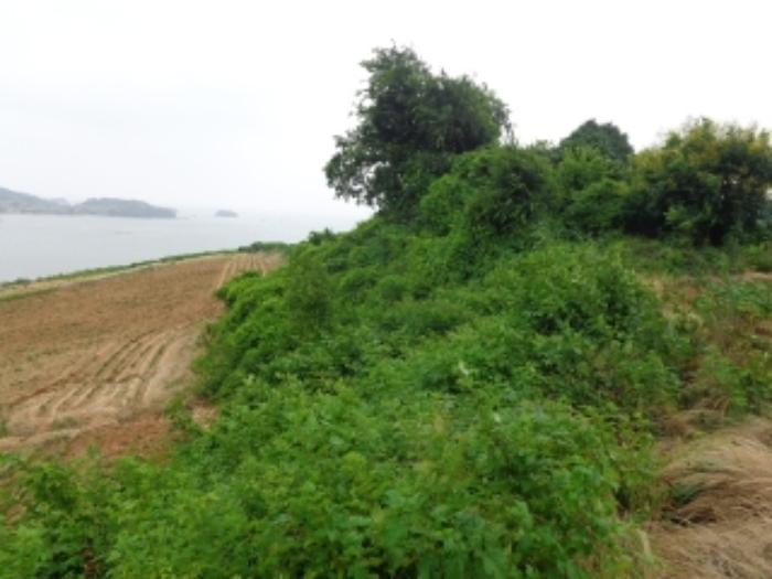 충청남도 태안군 고남면 누동리 914 임야 경매 사진 18