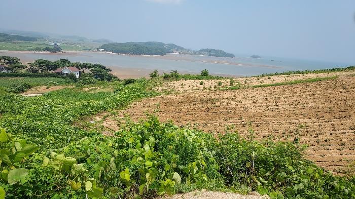 충청남도 태안군 고남면 누동리 914 임야 경매 사진 4