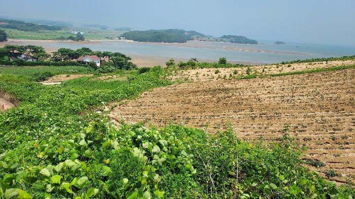 충청남도 태안군 고남면 누동리 914 임야 경매 사진 5
