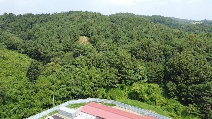 충청남도 당진시 대호지면 장정리 산60-5 임야 경매 사진 1