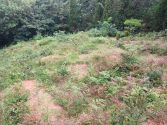 충청남도 당진시 대호지면 장정리 산60-5 임야 경매 사진 10