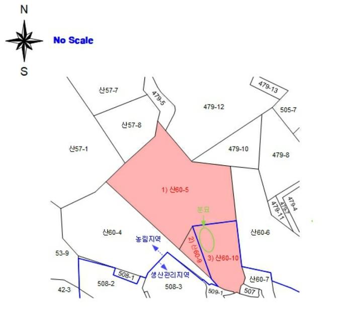 충청남도 당진시 대호지면 장정리 산60-5 임야 경매 사진 23