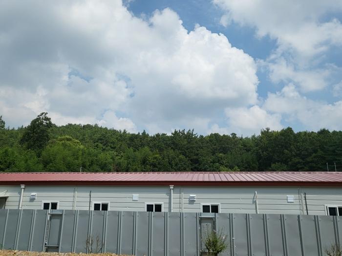 충청남도 당진시 대호지면 장정리 산60-5 임야 경매 사진 4